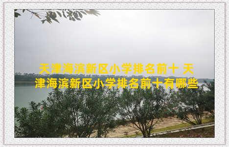 天津海滨新区小学排名前十 天津海滨新区小学排名前十有哪些